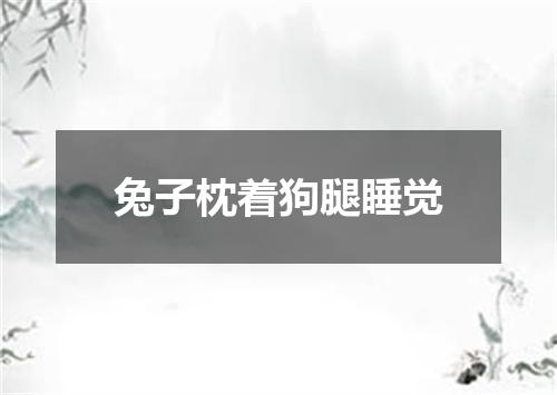 兔子枕着狗腿睡觉