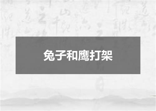 兔子和鹰打架