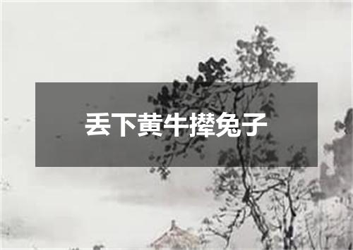 丢下黄牛撵兔子