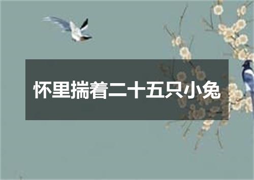 怀里揣着二十五只小兔