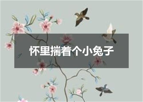 怀里揣着个小兔子
