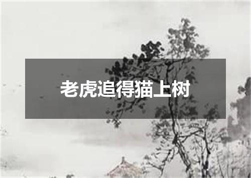 老虎追得猫上树