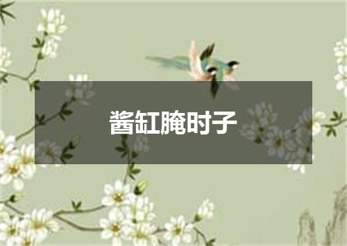 酱缸腌时子
