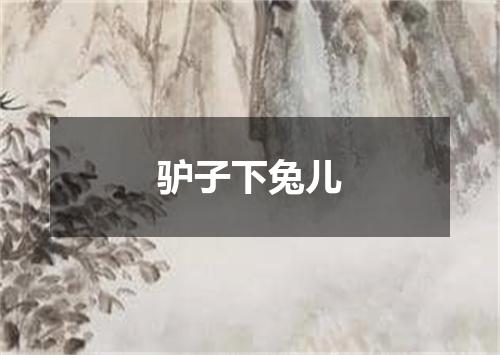 驴子下兔儿