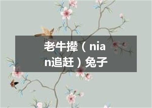 老牛撵（nian追赶）兔子
