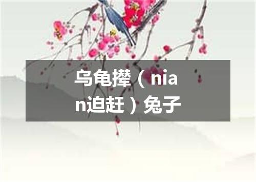 乌龟撵（nian迫赶）兔子