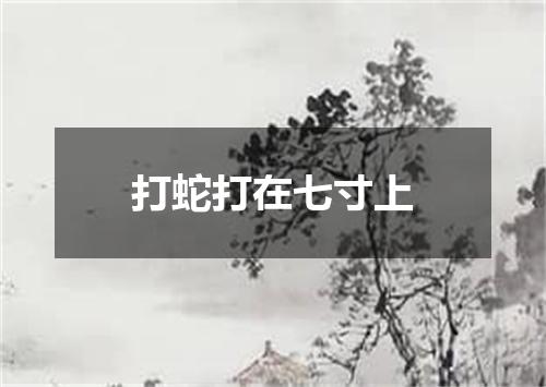 打蛇打在七寸上