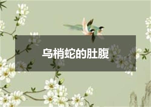 乌梢蛇的肚腹
