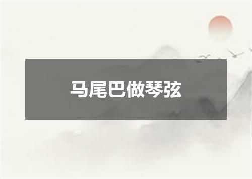 马尾巴做琴弦