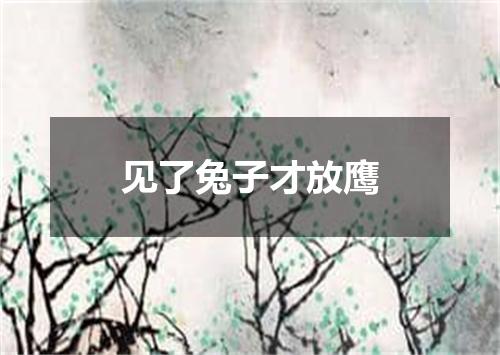 见了兔子才放鹰