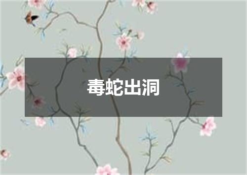 毒蛇出洞