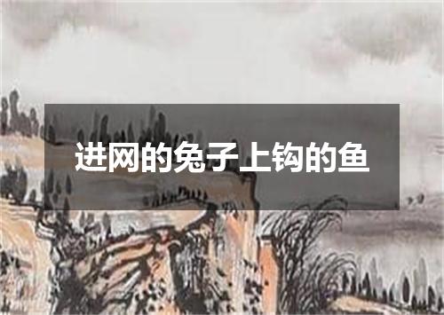 进网的兔子上钩的鱼