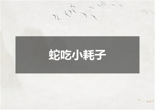 蛇吃小耗子