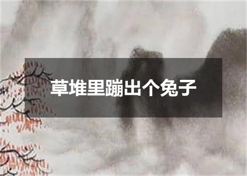 草堆里蹦出个兔子
