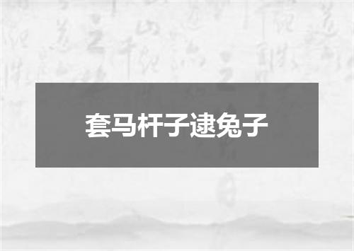 套马杆子逮兔子