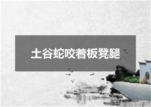 土谷蛇咬着板凳腿
