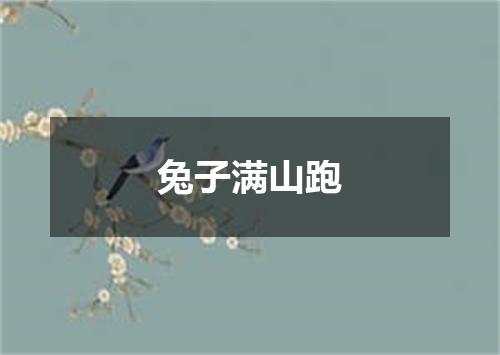 兔子满山跑