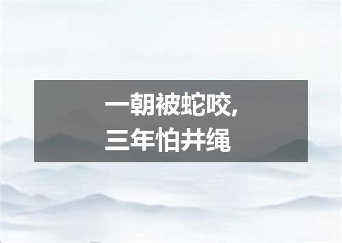 一朝被蛇咬,三年怕井绳