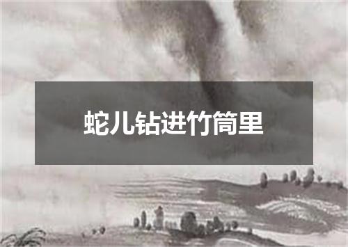 蛇儿钻进竹筒里