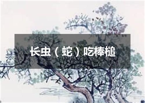 长虫（蛇）吃棒槌