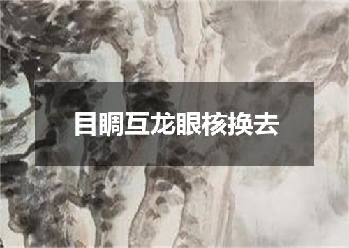目睭互龙眼核换去