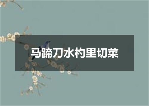马蹄刀水杓里切菜