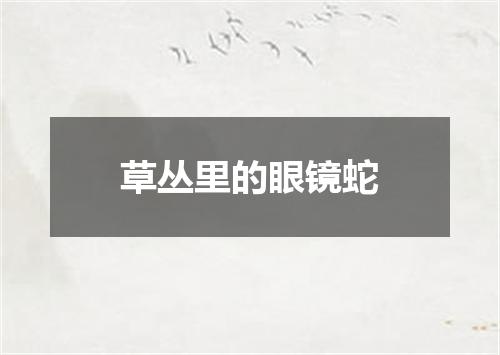 草丛里的眼镜蛇