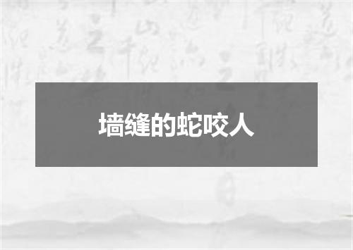 墙缝的蛇咬人