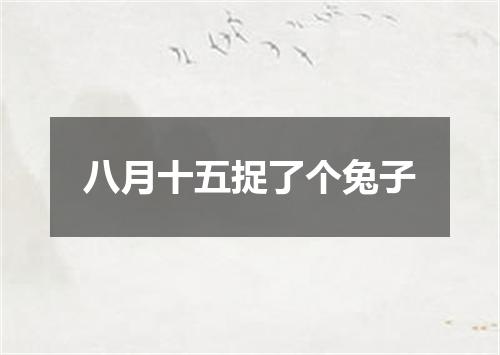 八月十五捉了个兔子