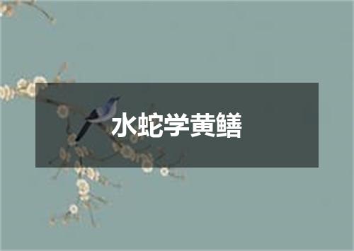 水蛇学黄鳝