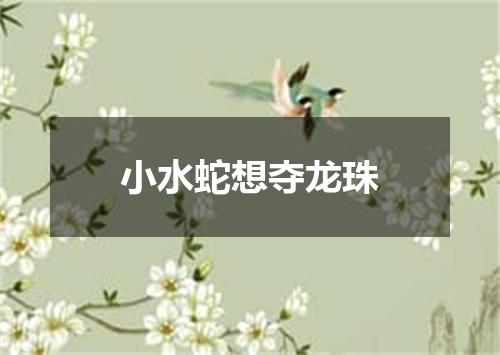 小水蛇想夺龙珠