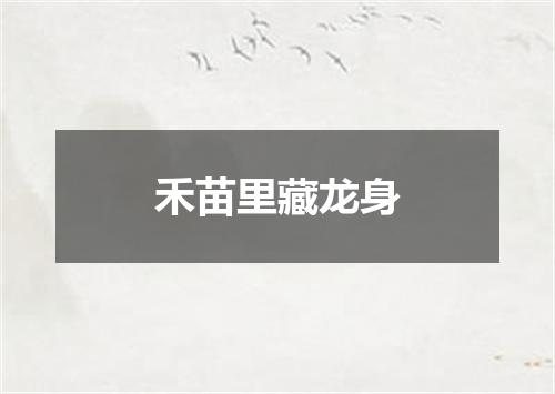禾苗里藏龙身