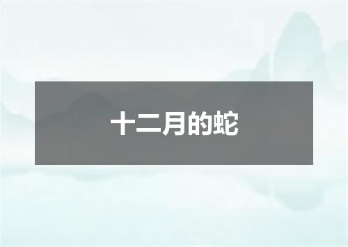 十二月的蛇
