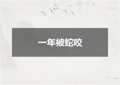 一年被蛇咬