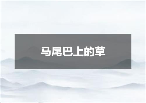 马尾巴上的草