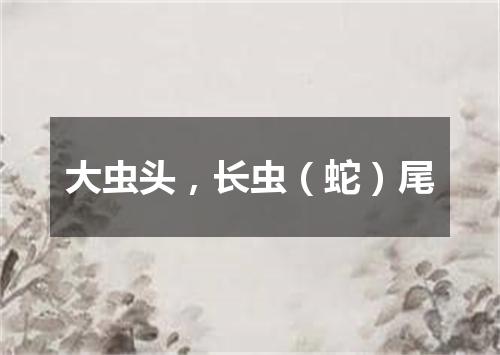 大虫头，长虫（蛇）尾