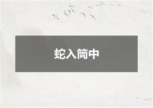 蛇入筒中