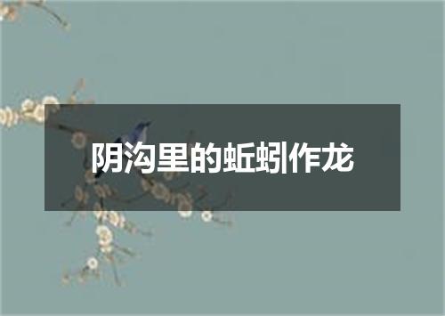 阴沟里的蚯蚓作龙