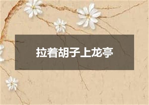 拉着胡子上龙亭