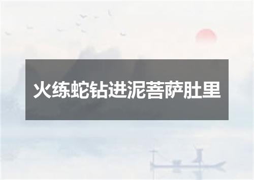 火练蛇钻进泥菩萨肚里