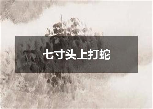 七寸头上打蛇