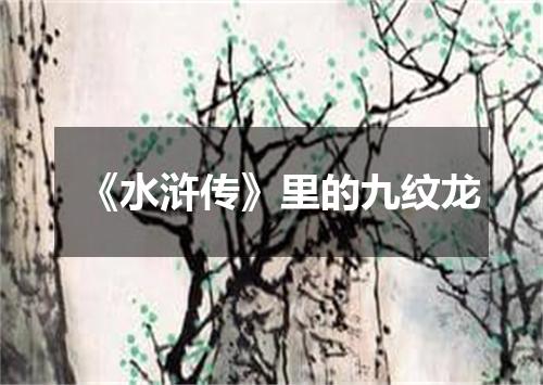 《水浒传》里的九纹龙