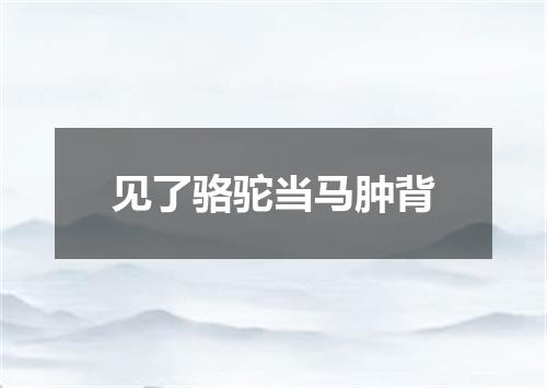 见了骆驼当马肿背