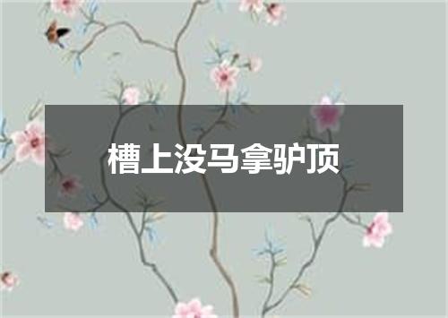 槽上没马拿驴顶