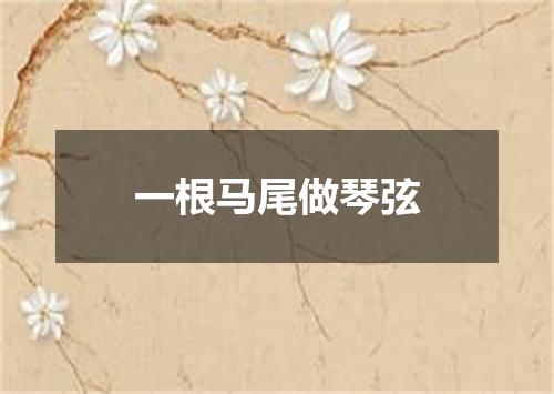 一根马尾做琴弦