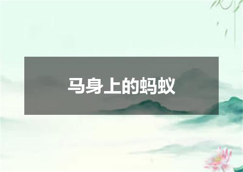 马身上的蚂蚁