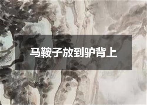 马鞍子放到驴背上