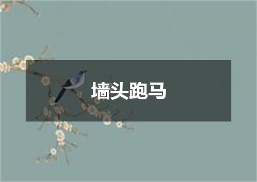 墙头跑马