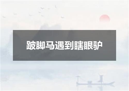 跛脚马遇到瞎眼驴