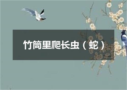 竹筒里爬长虫（蛇）